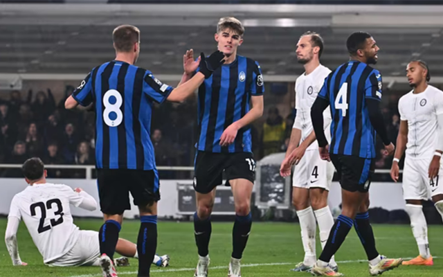 争取篮网队 争取篮网队