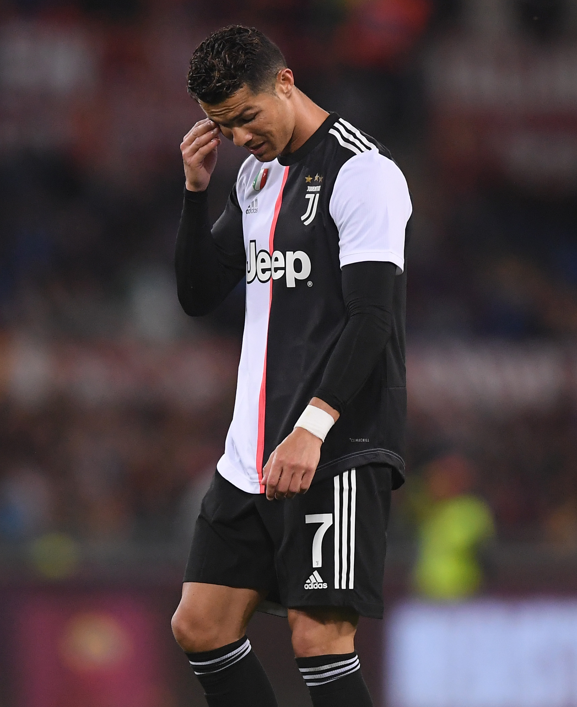 的丰富体验 的丰富体验